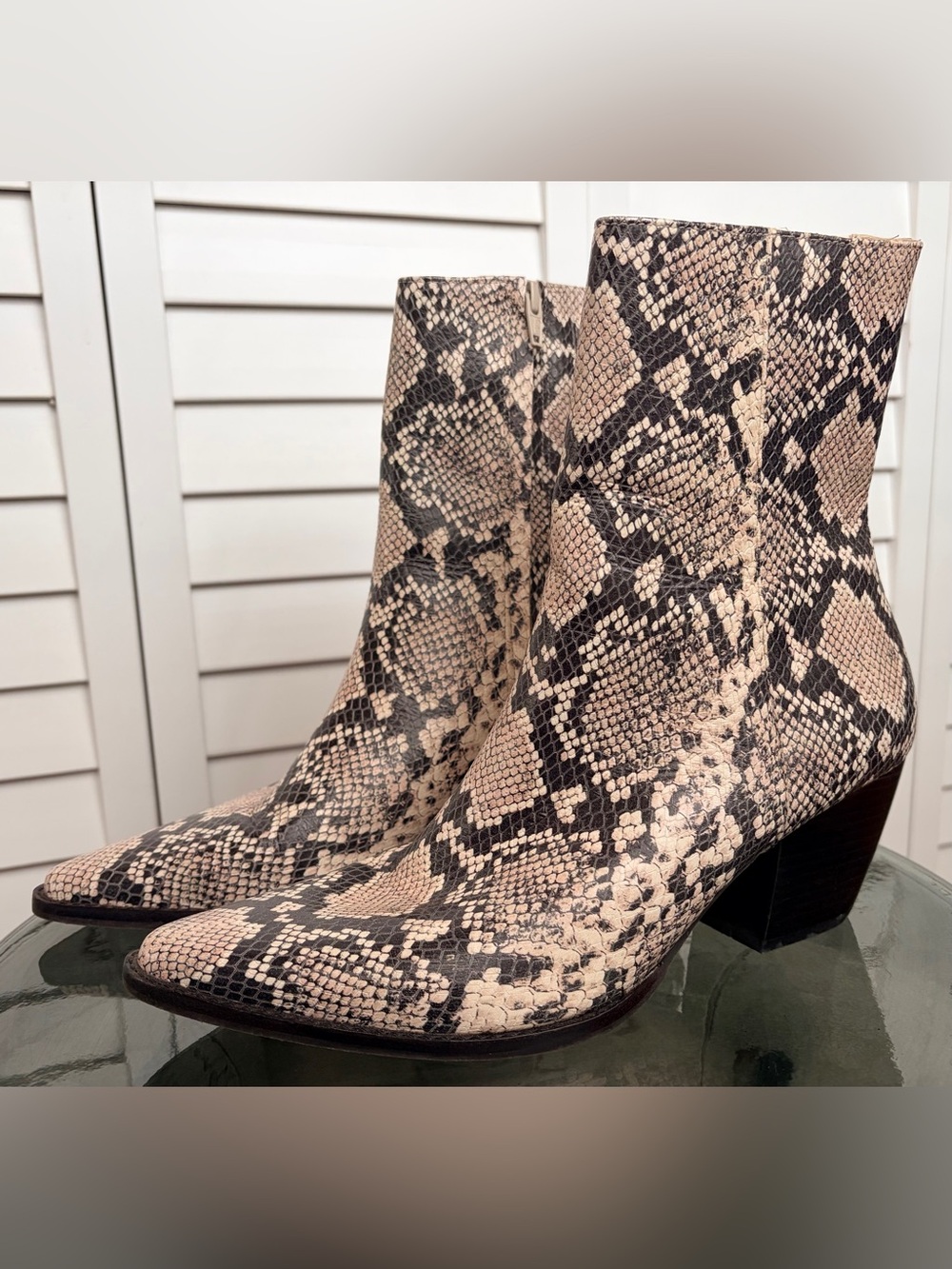 Women's Matisse Caty Snake-Print Ankle Boots in Taupe and Black, Size 8.5